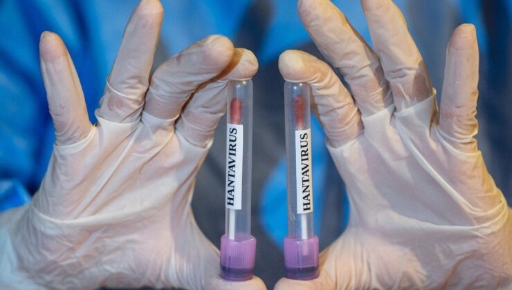 ABD’de hantavirüs alarmı: Üçüncü seviye acil durum ilan edildi
