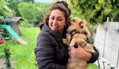 Almanya’da köpek sahiplerine yeni kural: Sorumluluk sigortası yaptırılacak