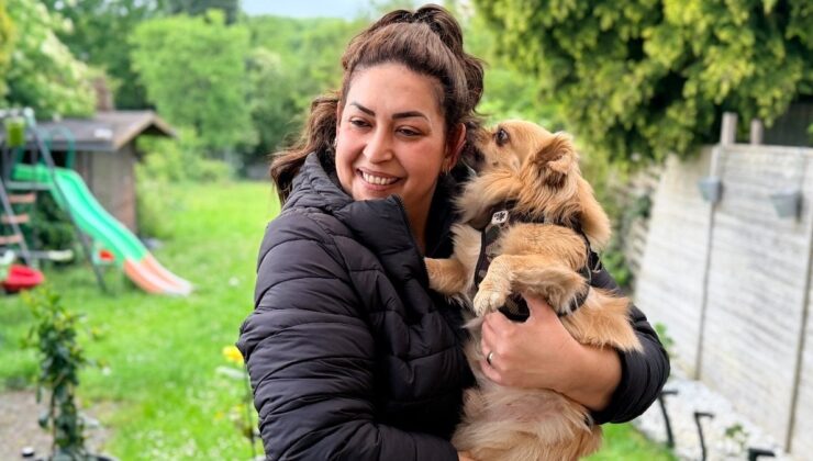 Almanya’da köpek sahiplerine yeni kural: Sorumluluk sigortası yaptırılacak