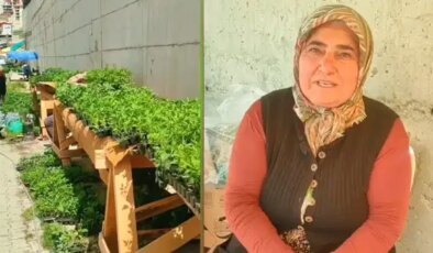 Artvin Yusufeli’nde fide satışına kısıtlama: Üreticilerden tepki