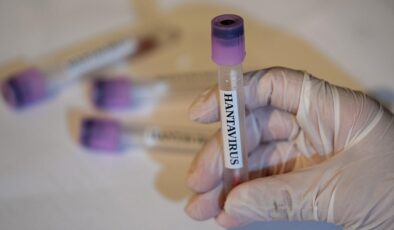 Avrupa’da hantavirüs alarmı: 12 sağlık çalışanı karantinada