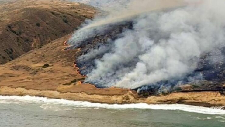 California’da yangın: Binlerce dönüm kül oldu