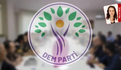 DEM Parti heyeti, siyasi partiler turunda