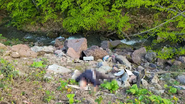 Düzce’de cinayet açığa çıktı: Şüpheli suçunu itiraf etti