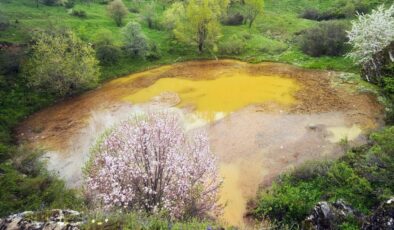 Efsanevi Dipsizgöl’ün değişen rengi, ziyaretçileri üzdü
