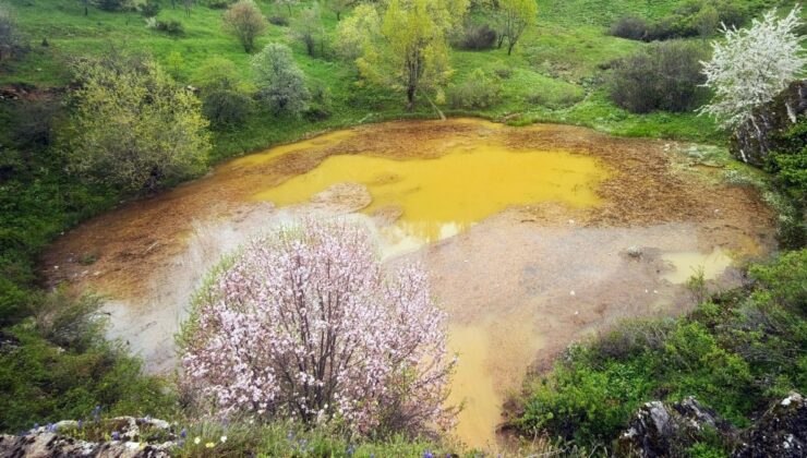 Efsanevi Dipsizgöl’ün değişen rengi, ziyaretçileri üzdü