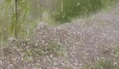 Erzurum’da ceviz büyüklüğünde dolu yağdı