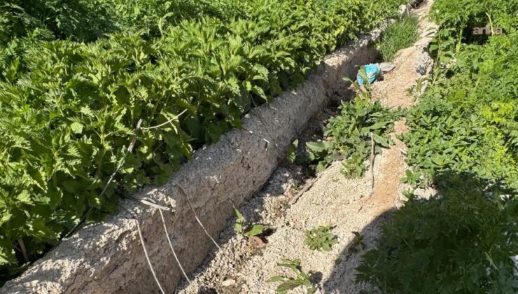 Hakkari’de 3 yıl önce yapılan kanal kullanılamaz hale geldi, köylü ‘susuz kaldı’