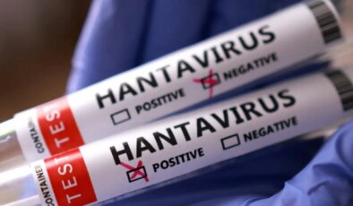 Hantavirüs vakaları neden artıyor? Uzman isim açıkladı