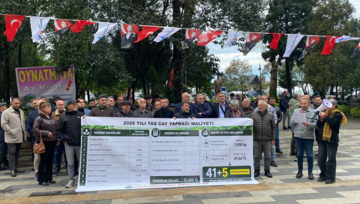 Hopalı çay üreticilerinin talebi: ‘Taban fiyat en az 46 TL olmalı’
