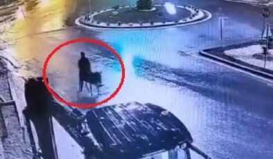 Kayseri’de eşekli kuyumcu soygunu davasında yeni gelişme