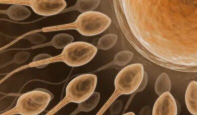 Kısırlık tedavisinde yeni teknoloji! Yapay zekayla sperm bulunuyor