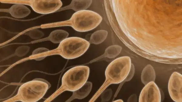 Kısırlık tedavisinde yeni teknoloji! Yapay zekayla sperm bulunuyor