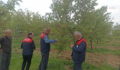 Malatya’da dolu felaketi: Kayısı ve meyve ağaçlarında zarar, hasar tespit çalışmaları başlatıldı