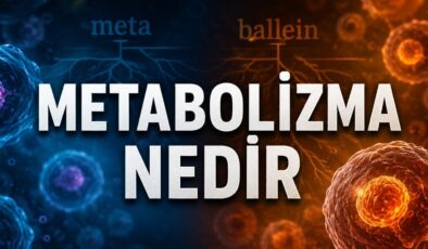 “Metabolizma”nın kökeni bakın ne çıktı! İşte gerçek anlamı