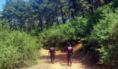 Muğla’da ormanlara giriş yasağı