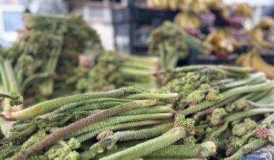 Ne ekiliyor ne biçiliyor, dağda kendi yetişiyor: C vitamini deposu…
