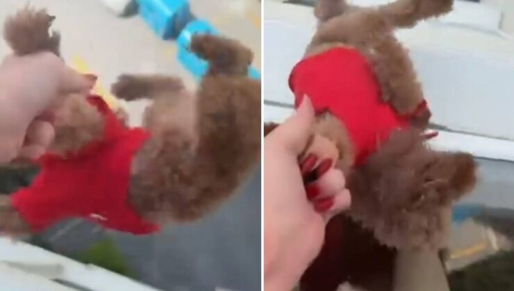 O anları kaydetti… Başakşehir’de pencereden sarkıttığı köpeği cama vurdu
