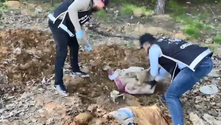 Pendik’te toprak altındaki depoda binlerce silah parçası bulundu