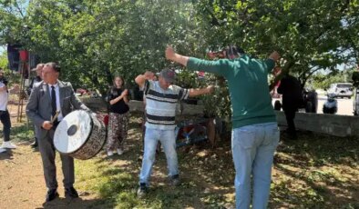 Rekolte 4 kat artınca hasat davul, zurna ile yapıldı