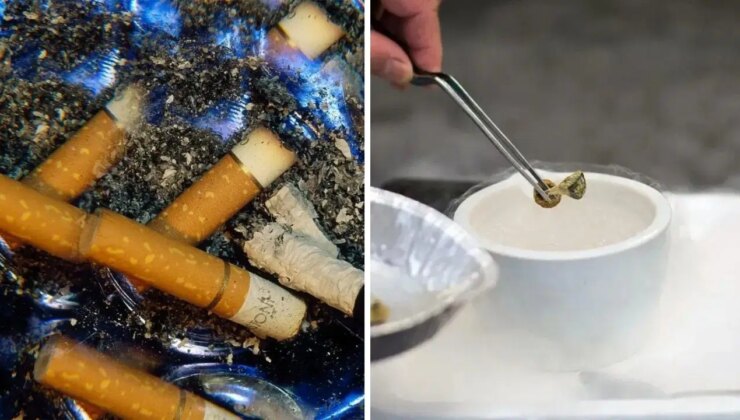 ‘Sihirli’ mantarlar sigarayı bırakmaya yardımcı olabilir mi?