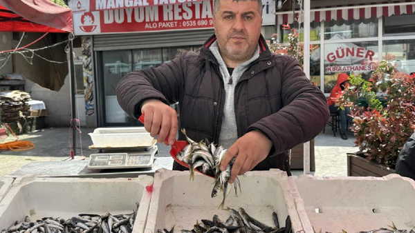 Tezgahlarda yeni devir: Hamsi, palamut yerini ona bıraktı! Kilosu 350 TL