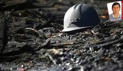 TTK maden sahalarındaki araştırmanın ilk sonuçları çıktı: Zonguldak’ta nadir toprak elementi