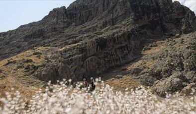Tunceli’de Düzgün Baba Ziyaretgahı tahrip edildi: 1’i muhtar 3 şahıs tutuklandı