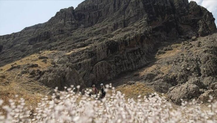 Tunceli’de Düzgün Baba Ziyaretgahı tahrip edildi: 1’i muhtar 3 şahıs tutuklandı