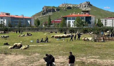 Van’da besiciler bayramda zarar ettiklerini dile getirdi