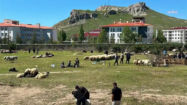Van’da besiciler bayramda zarar ettiklerini dile getirdi