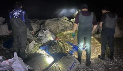 Van’da kaçak avlanan bir ton ölü inci kefali ele geçirildi
