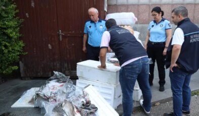 Antalya Otogarı’nda balık operasyonu: 260 kilo ele geçirildi