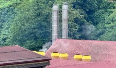 Ardeşen’de mahalleliden çay fabrikasının yarattığı iddia edilen kirliliğe tepki