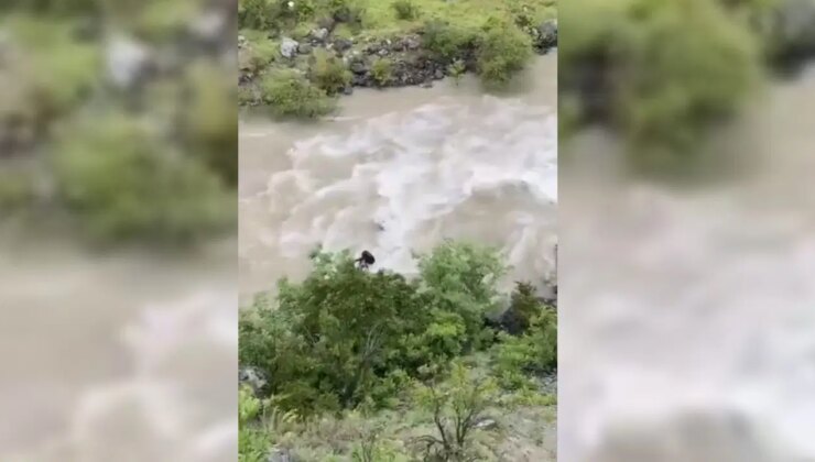Artvin’de bir otomobil Çoruh Nehri’ne düştü: Baba ile oğlu aranıyor