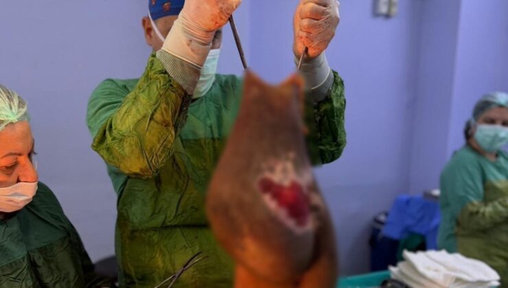 Aydın’da yaşayan kadının karnından 40 kilogram kitle çıkarıldı