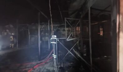 Batman’da at çiftliğinde yangın: 3 at hayatını kaybetti