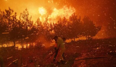 Bilim insanlarından korkutan bilanço: El Nino orman yangını riskini artırıyor