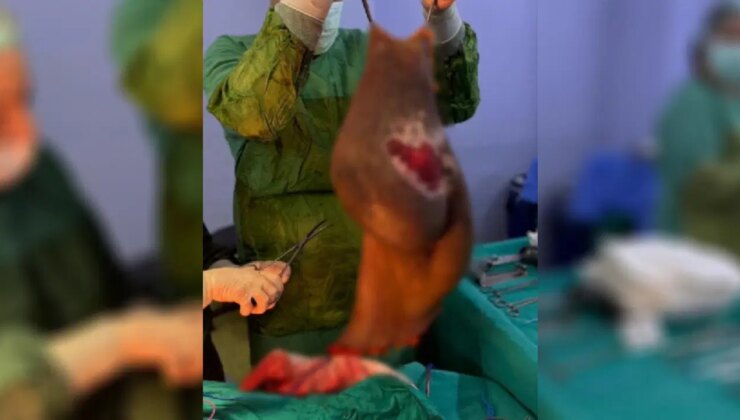 Bu kez ızdıraptan değil sevinçten ağladı: Karnından 40 kilogram kitle çıkarıldı