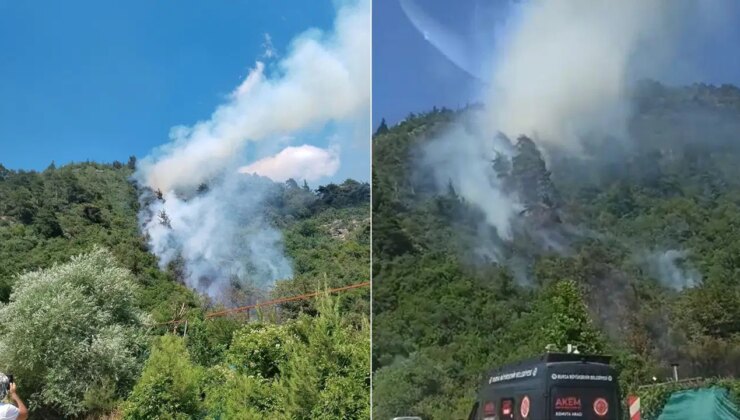 Bursa’da orman yangını: Ekipler müdahale ediyor