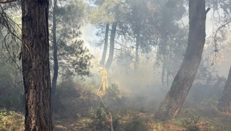 Çanakkale’de tarım arazisinde yangın