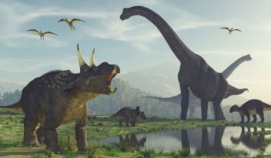 Dinozorlar dünyasında milyon yıllık sır çözüldü: Denizlerde neden hiç dinozor yaşamadı?