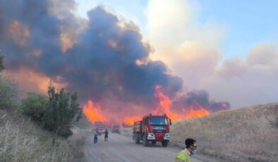 Edirne’de ormanlara giriş yasaklandı