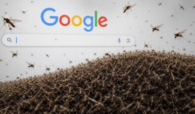 Google, doğaya 32 milyon sivrisinek bırakacak! İşte nedeni