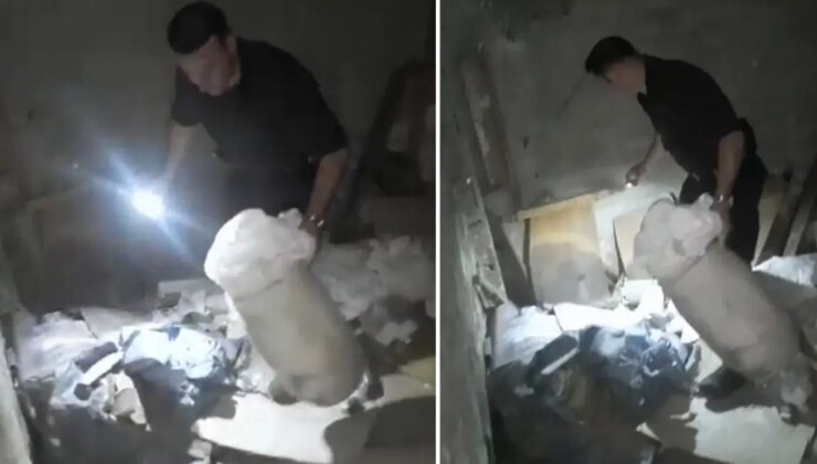 İstanbul’da uyuşturucu deposuna çevrilen aile binasına baskın: ‘Peçeteye sarıp yutuyoruz’