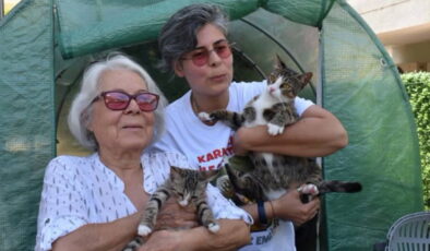 İzmir’de 6 milyonda 1 görülen olay: ‘Erkek kedimiz ‘Cengo’ doğurdu!’