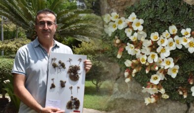 Keşfettiği bitki türüne eşinin adını verdi