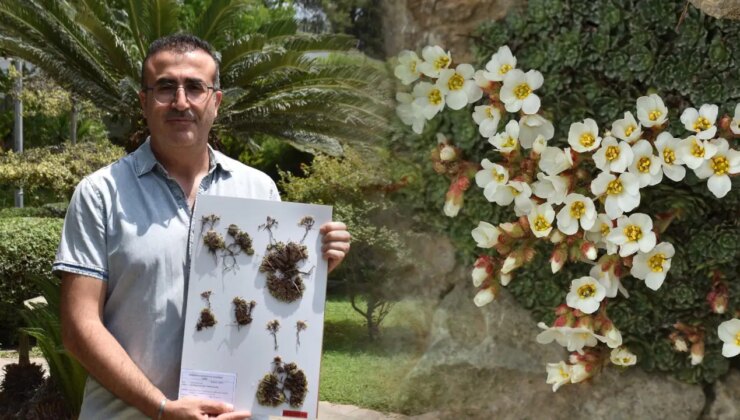 Keşfettiği bitki türüne eşinin adını verdi