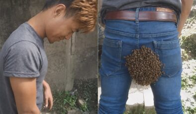 Kraliçe arı pantolonuna kondu ve olanlar oldu: Yüzlercesi toplandı
