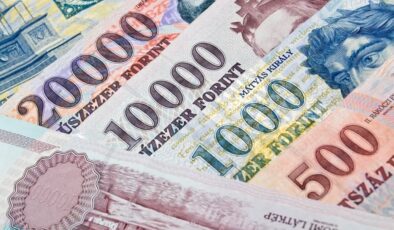 Macaristan’da yerli para birimi tarihe karışacak: Euroya geçiyorlar